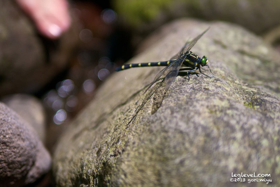由布川 渓谷 峡谷 大分:寫音:写真集:大分:足:写真:大分県:足の写真:風景写真:モデル