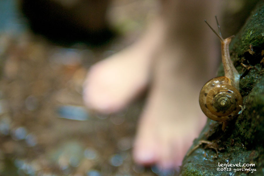 由布川 渓谷 峡谷 大分:寫音:写真集:大分:足:写真:大分県:足の写真:風景写真:モデル