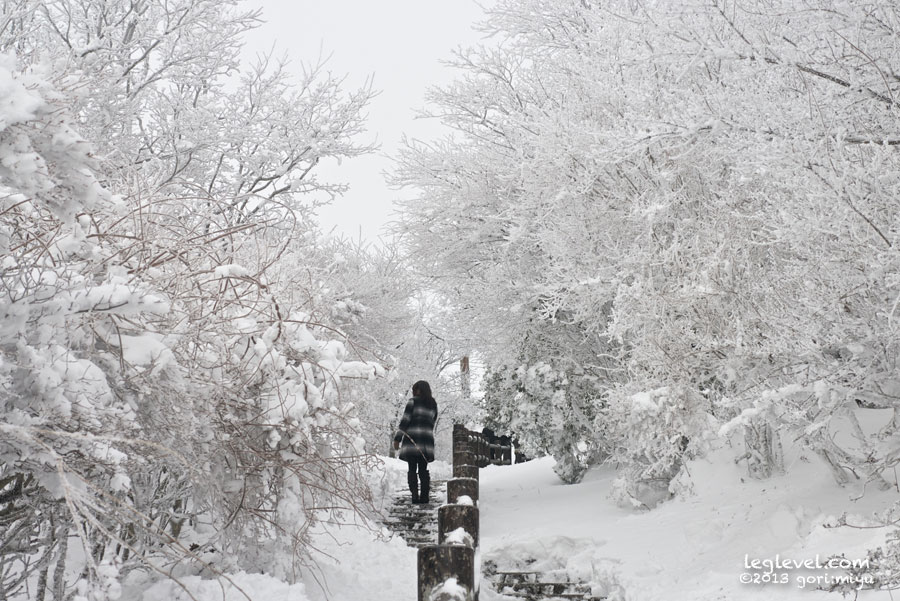 鶴見岳 鶴見山 霧氷 雪 ロープウェイ:寫音:写真集:大分:足:写真:大分県:足の写真:風景写真:モデル
