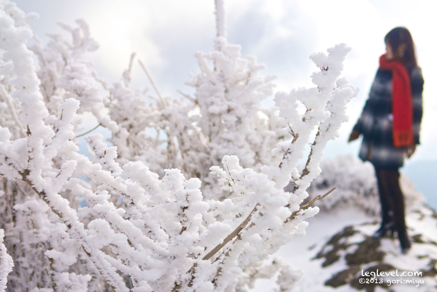 鶴見岳 鶴見山 霧氷 雪 ロープウェイ:寫音:写真集:大分:足:写真:大分県:足の写真:風景写真:モデル